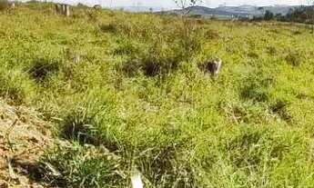 Imagem 6: Vendo lotes a 1,5 km da Rodovia Presidente Dutra