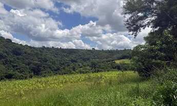 Imagem: Terrenos amplos em localização estratégica