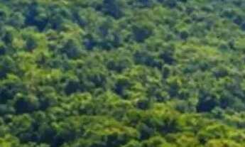 Imagem 2: Lotes para investidor no interior de São Paulo - SP