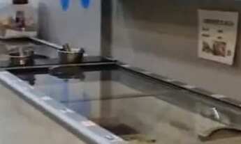 Imagem 2: Ponto Comercial à Venda ? Loja 80 m² na Av. João César (Esquina Av. Londres