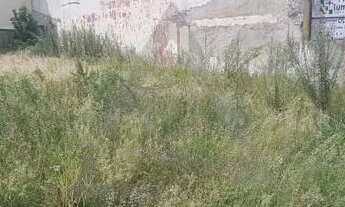 Imagem 5: Terreno à venda em Campinas, Botafogo, com 237 m²