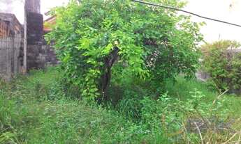 Imagem 4: Terreno à venda em Vila guilhermina, São paulo cod:2399