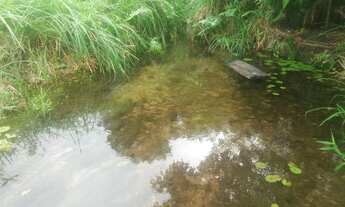 Imagem 6: Fazenda Fazenda / sítio com venda por R$130.000