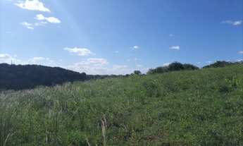 Imagem 7: Granja com 10,5 hectares