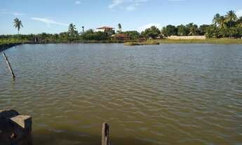 Imagem 5: Vendo Viveiro no Albano Franco