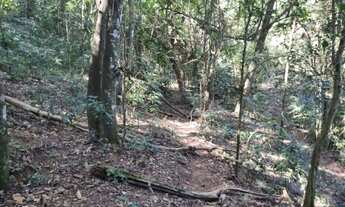 Imagem 5: Terreno 20.000 Corrego do Bom Jesus-MG