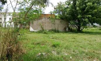 Imagem 4: TERRENO EM ABRANTES