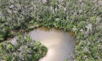 Imagem: Vendo chacara 2 hectares a 8 km de ribas