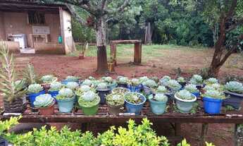 Imagem 5: Chácara para venda Planaltina/GO