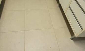 Imagem 4: Apartamento à Venda Alto do Itaigara