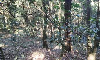 Imagem 4: Terreno 20.000 Corrego do Bom Jesus-MG