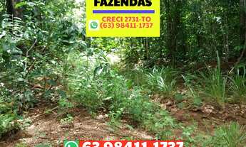 Imagem 3: Fazenda na região de Abreulandia no Tocantins