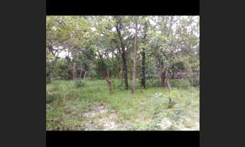 Imagem 6: Vendo fazenda na Barraria TO/MA