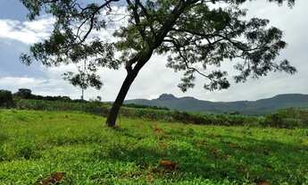 Imagem 7: Chácaras de 1000 m² com financiamento próprio ,aceita veiculo , Igarapé - MG