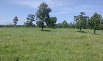 Imagem: Oportunidade! Vende-se um espetáculo de