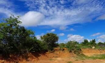 Imagem 7: Fazenda com 220 hectares em Rorainópolis, a 5 km da cidade, de frente para o asfalto