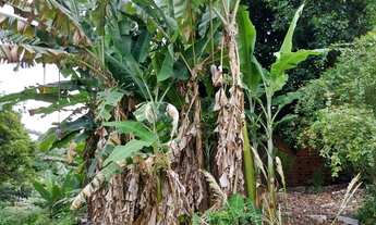 Imagem 2: Lotes de 420m² próximo ao Fórum Estadual no Barro Duro