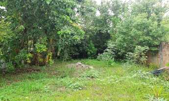 Imagem 5: Terreno com 240m² no bairro Canasvieiras em Florianópolis para Comprar