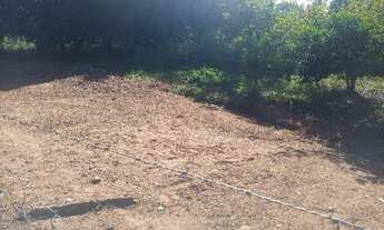 Imagem 7: Casa em Área de 20.000m² Ótima Para Moradia Investir ou Empreender