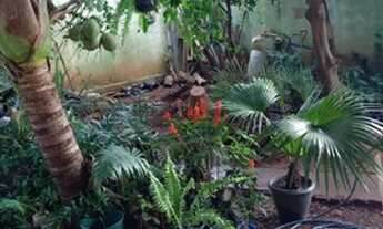 Imagem 3: IMPERDIVEL!!!! SÃO GERALDO II. $$$ 90.000