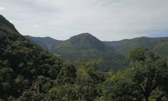 Imagem 4: Linda area de 2 hectares com LUZ em Urubici