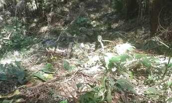 Imagem 6: São Paulo - Terreno Padrão - Tucuruvi