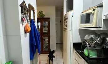 Imagem 2: Apartamento para Venda em Florianópolis, Coloninha, 2 dormitórios, 1 suíte, 1 banheiro, 1