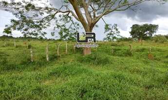 Imagem 2: Fazenyde 80 Alqueires a 90 km de Goiânia