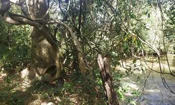 Imagem 5: Chácara próxima a Goiânia 9 km de Guapo com riacho no fundo energia