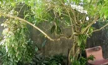 Imagem 4: Casa 1° casa do Privê