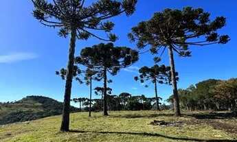 Imagem 5: TERRENO COM ALTO POTENCIAL TURÍSTICO!!!