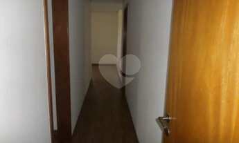 Imagem 6: Pinheiros perto do Colégio St Francis