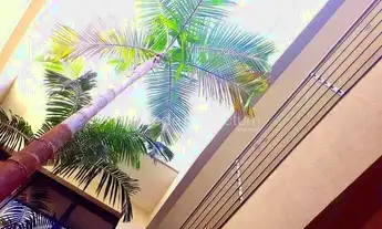 Imagem 7: Sala - Sousas - Campinas