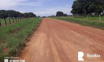 Imagem 4: Fazenda na região do vale do Araguaia - TO