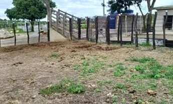 Imagem 5: Fazenda de 45 hectares em Tacaimbó