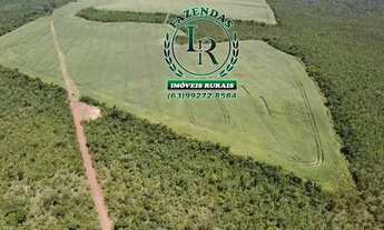 Imagem: Fazenda 210 Alqueires Agricultável Proximo
