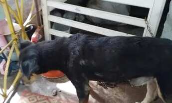 Imagem 7: VENDO KITNET Kitnet com 1 dormitório