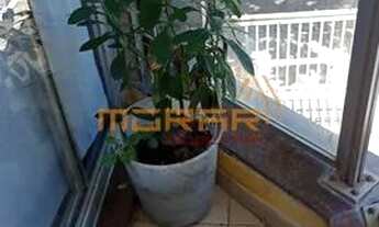 Imagem 4: Recreio dos Bandeirantes