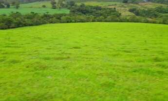 Imagem 7: Sitio com 14 Alqueires em Itamogi - Mau