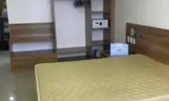 Imagem 6: SEM CAUÇÃO - Flat Blue Tree -Adrianópolis