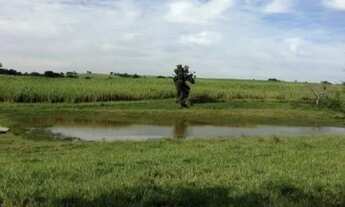 Imagem 6: Fazenda na Região de Tatui oportunidade