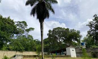 Imagem 2: Terreno fora de Condomínio em Aldeia