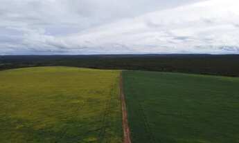 Imagem: Fazenda em Novo Acordo. 67 mil com lavoura