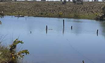 Imagem 7: Fazenda Extra 75 alqueires - Mozarlândia!