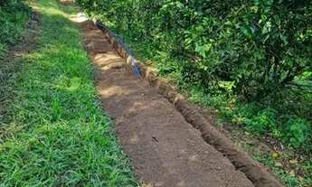 Imagem 5: Vendo excelente Fazenda de limao