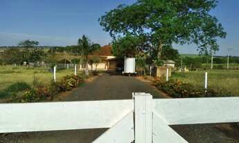 Imagem 5: Sítio Centenário à Venda São José do Rio Preto/SP