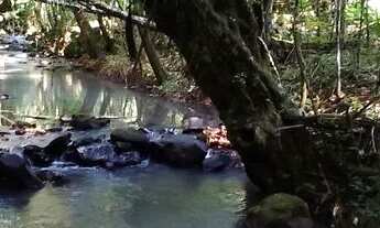 Imagem 4: Chácara 20 hectares, 4 açudes grande, arroio, Rio, potreiro cercado