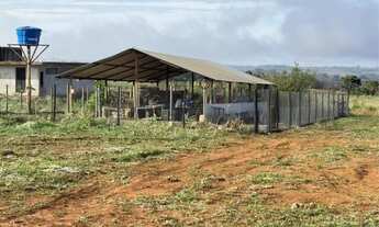 Imagem 7: Chácara no Rodeador