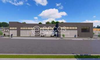 Imagem 3: Galpão para aluguel, Luizote de Freitas - Uberlândia/MG