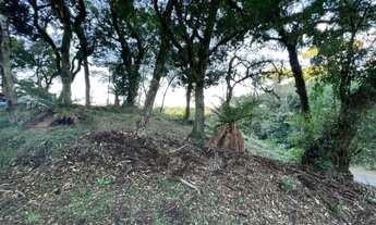 Imagem 2: Terreno - Bairro Quinta da Serra